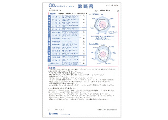 OD式安全性テスト